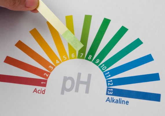 Litmus paper test for pH of saliva